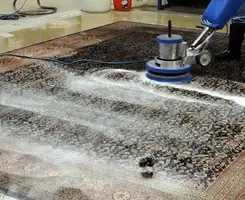 Professional rug cleaning with a rotary floor machine and shampoo foam, deep-cleaning an area rug, in Pembroke Pines, FL.