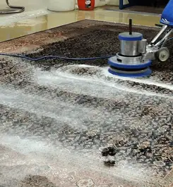 Professional rug cleaning with a rotary floor machine and shampoo foam, deep-cleaning an area rug Pembroke Pines, FL.