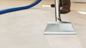 Carpet cleaning wand head gliding over a light carpet during hot-water extraction, Pembroke Pines, FL.